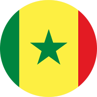 Seydina Andre flag