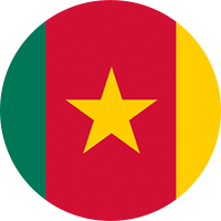 Cameroon - Elite One flag