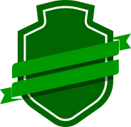 Jose Salomon Rondon team logo