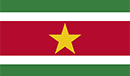 Suriname logo