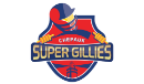 Chepauk Super Gillies logo