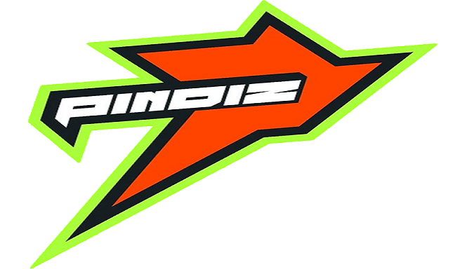 Rawalpindi Pindiz logo