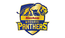 Siechem Madurai Panthers logo