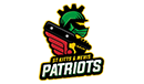 St Kitts and Nevis Patriots logo