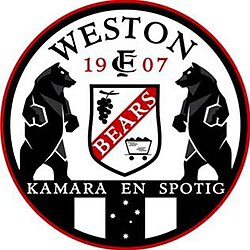 homeLogo