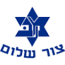 Michael Ashkenazi team logo