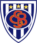 Player team logo