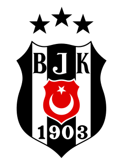 Player team logo