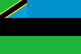 Player team logo