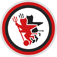 Player team logo