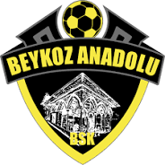 Gokhan Akkan team logo