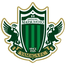 Player team logo