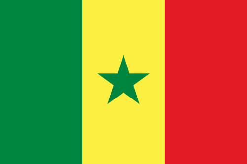 Senegal U17 logo