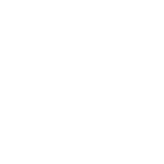 Manly Sea Eagles logo