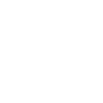 Melbourne Storm logo