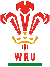 Wales U20 logo