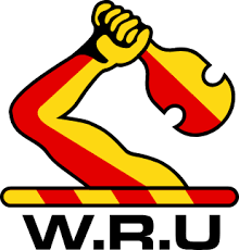 Waikato logo