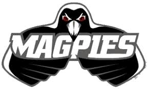 Hawke's Bay logo