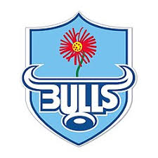 Bulls logo