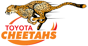 Cheetahs logo