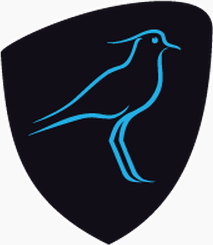 Uruguay U20 logo